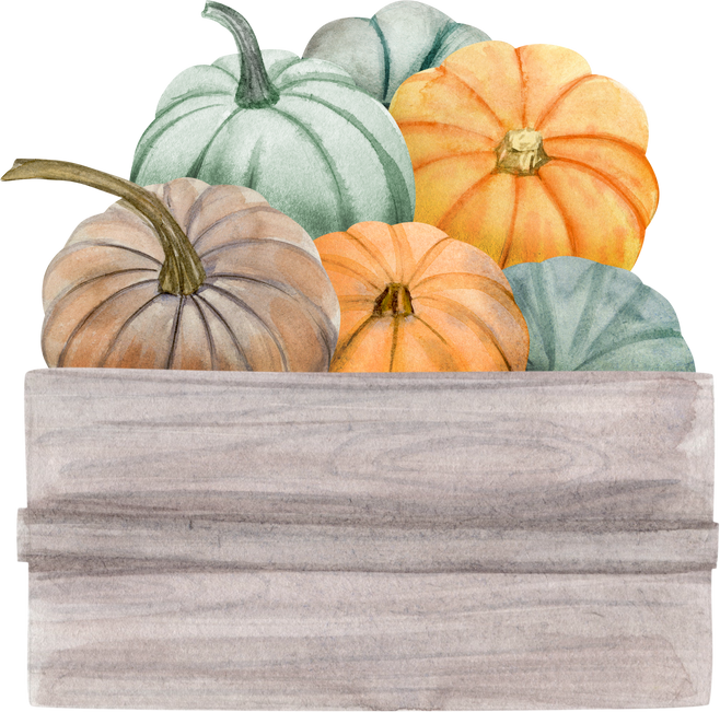 Watercolor Illustration Pumkins in Box